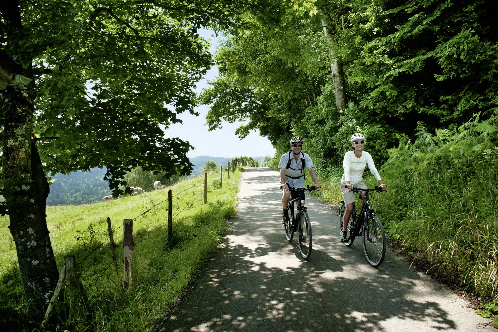 Zwei Radfahrer auf einer Landstraße im Allgäu